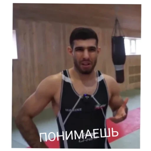 Sticker GAVRIK_Pop mma - 11