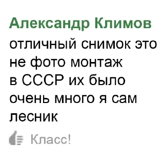 Sticker Больше стиков тут: @stikery4 - 7