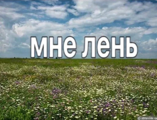 Sticker GCUeRZC_by_achestickbot - 1