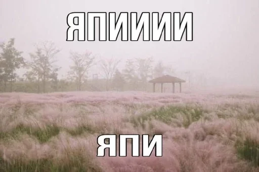 Sticker GCUeRZC_by_achestickbot - 1