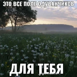 Стикер Больше стиков тут: @stikery4 - 11