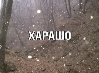 Стикер Больше стиков тут: @stikery4 - 7