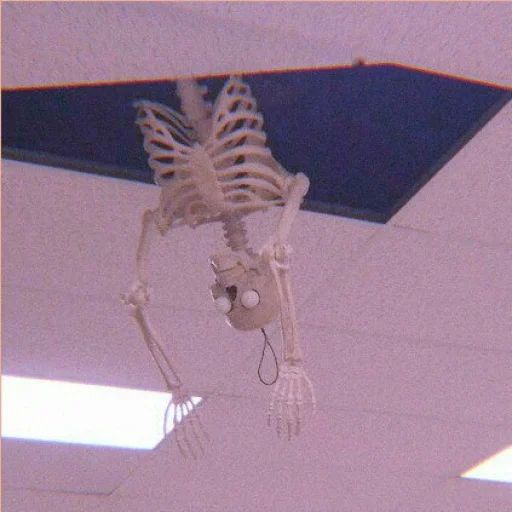 Sticker GENCANAYOO - 1