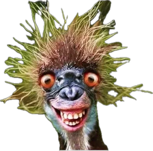 Sticker GGAANNIIMMAALLSS - 1