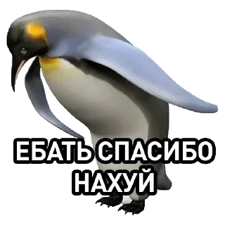 Стикер Мои - 8