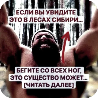 СМС плоть спорт