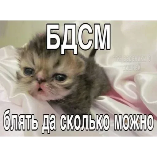 Sticker GHkuUkf_by_achestickbot - 1