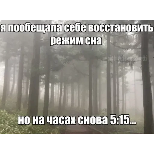 Sticker GHkuUkf_by_achestickbot - 1