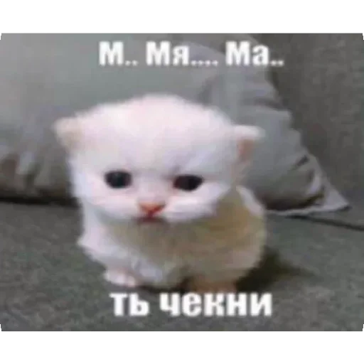 Sticker GHkuUkf_by_achestickbot - 1