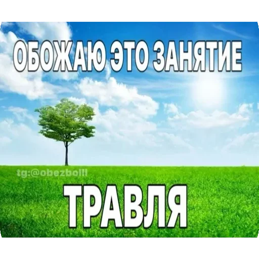 Sticker GHkuUkf_by_achestickbot - 1