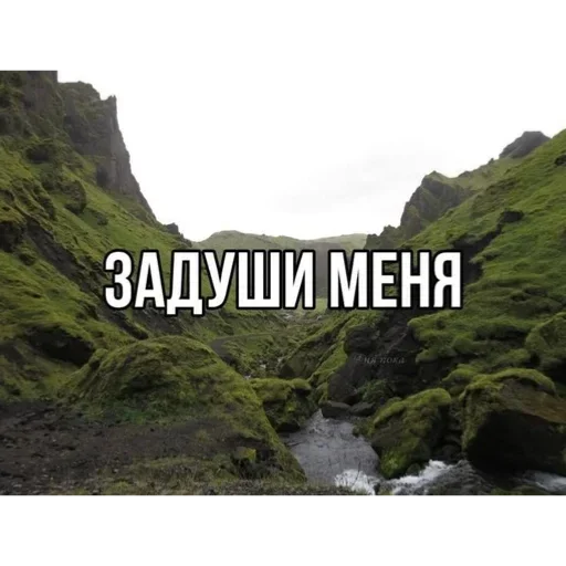 Sticker GHkuUkf_by_achestickbot - 1