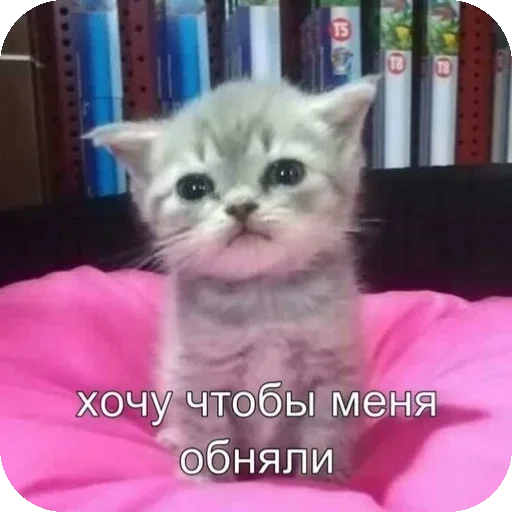 Sticker GHkuUkf_by_achestickbot - 1