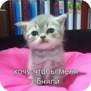 Стикер Больше стиков тут: @stikery4 - 2