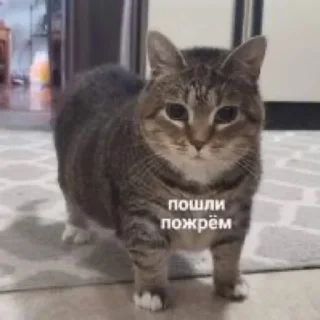 Sticker Больше стиков тут: @stikery4 - 0