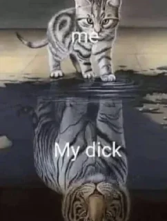 Sticker @stickeri_tg 💋<-- стикеры тут - 7