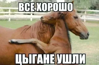 Sticker @stickeri_tg 💋<-- стикеры тут - 8