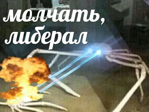 text invertebrate animal