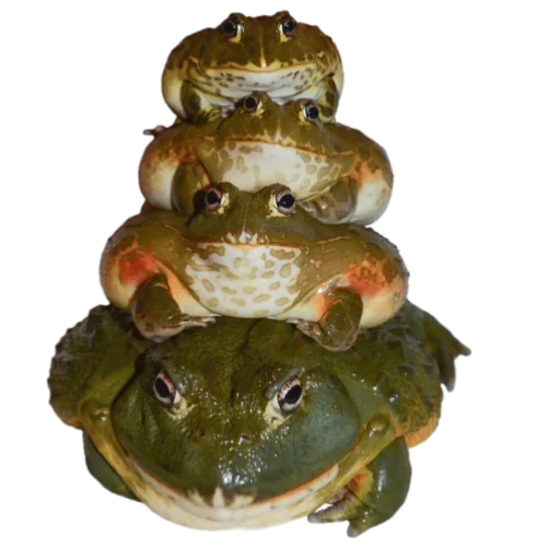 Sticker goblincore - 9