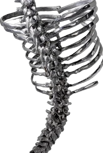 весна цилиндрическая пружина черно-белый