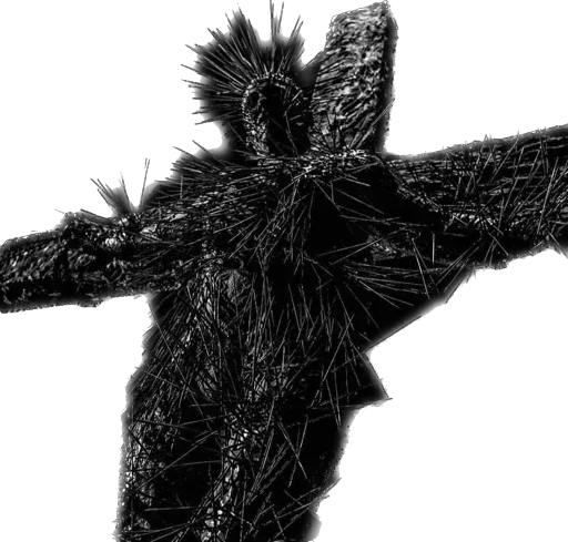 black and white monochrome nature