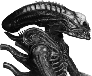 Стикер GOD SYSTEM - 11