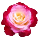 Стикер GOLDAN - 7