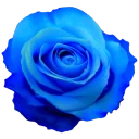 Стикер GOLDAN - 6