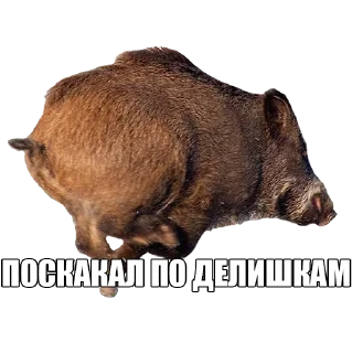 Стикер GOREGRINDCAFE - 5