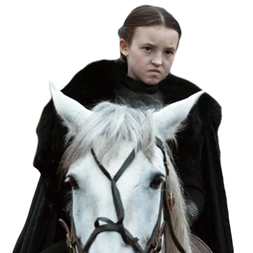 person mare stallion