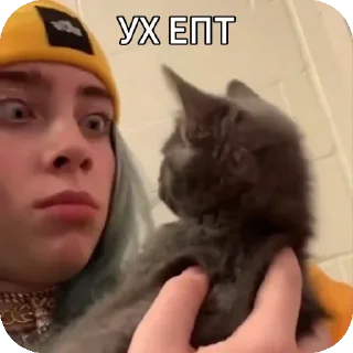 Sticker Больше стиков тут: @stikery4 - 8