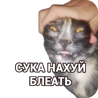 Sticker ГРЫБОЧКИ - 11