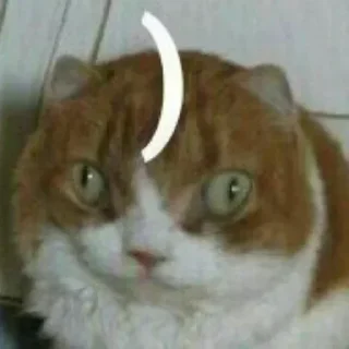 Sticker @stiki_tg_nah_canal - 6