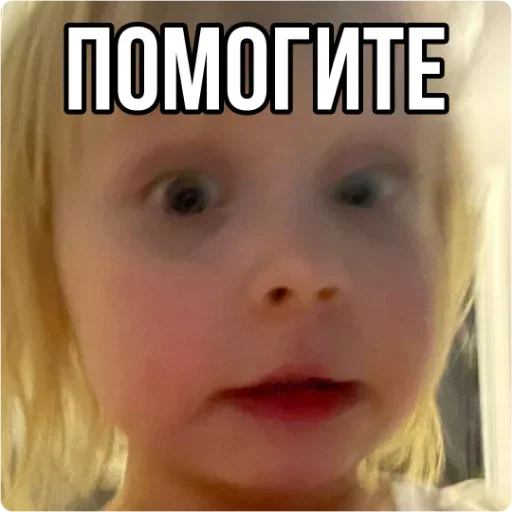 Sticker GTDUEDWAUN_by_sticker_v_bot - 1