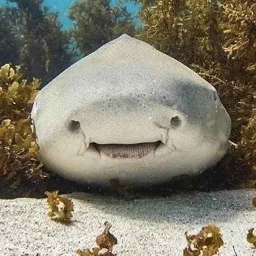 Стикер GWZgDxBhnAYwUgSZo_by_stickers_stealer_bot - 1