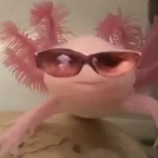 Стикер GWZgDxBhnAYwUgSZo_by_stickers_stealer_bot - 1