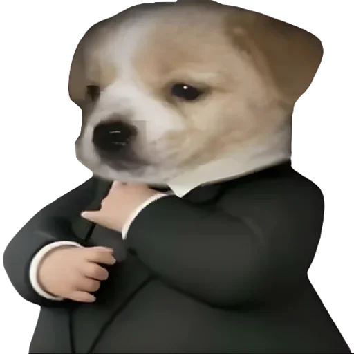 @sticksbb 🩷 <- канал со стиками - 