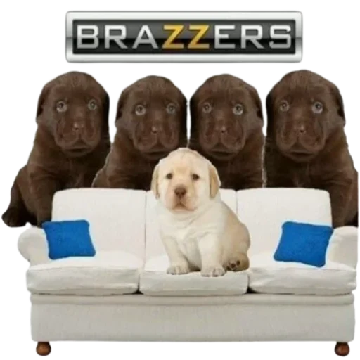 Sticker GYHUCTEVSZ_by_stikers_du_ark_bot - 1