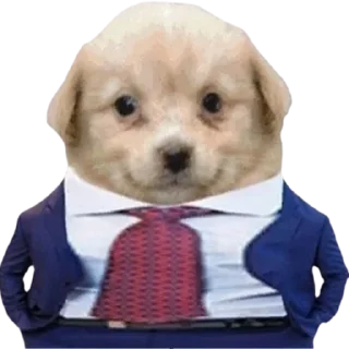 Стикер @sticksbb 🩷 <- канал со стиками - 6