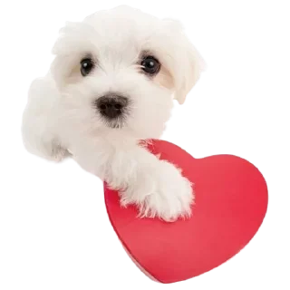 Стикер @sticksbb 🩷 <- канал со стиками - 3