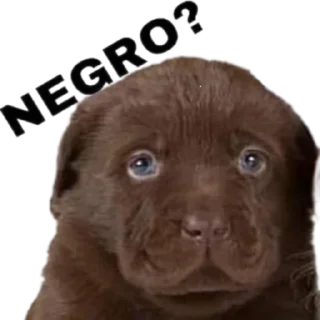 Стикер @sticksbb 🩷 <- канал со стиками - 9