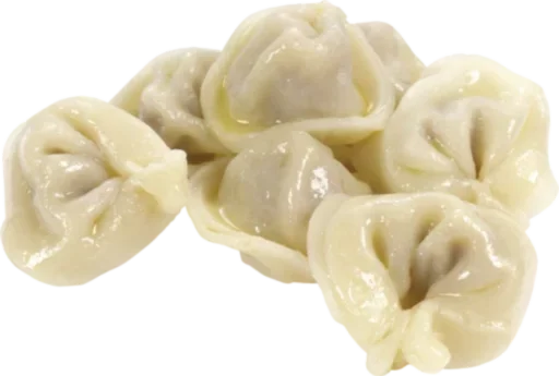 dumpling food mandu