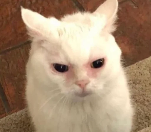 Стикер Gaarsio - 1