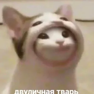 Стикер Trash - 11