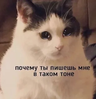 Стикер Trash - 3