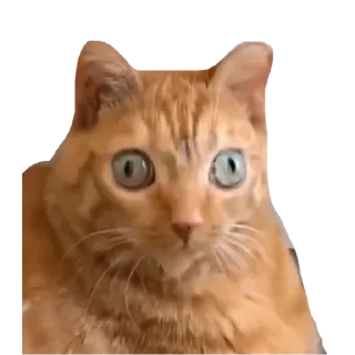 Стикер Trash - 0