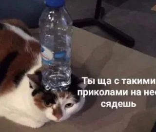 Стикер Trash - 6