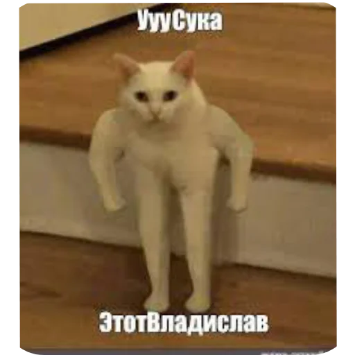 Sticker GachiKoty - 1