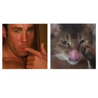 Sticker Гачи коты - 6