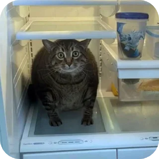 Sticker Гачи коты - 8