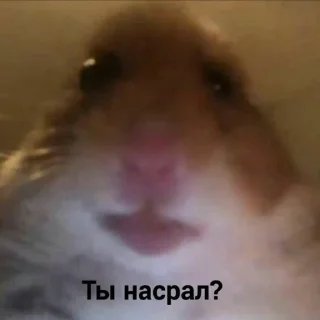 Стикер Гачи туда сюда 2 - 0